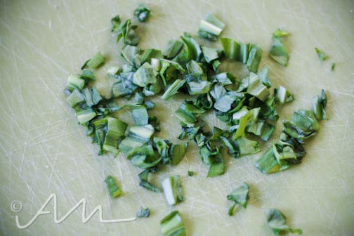 spsquashprimavera-web-8