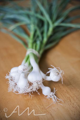 babyartichokes-web-4