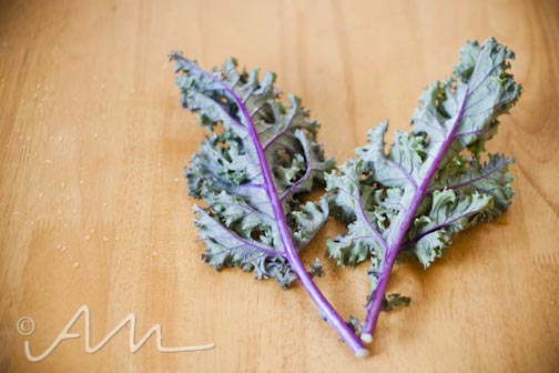 cheesyvegankalechips-web-4