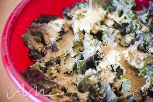 cheesyvegankalechips-web-5