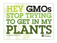 gmo