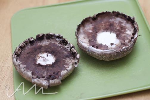 poblanoportabellos-web-2