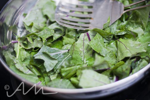 poblanoportabellos-web-6