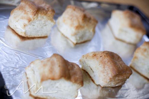 biscuitsandgravy-web-8