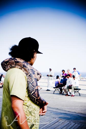 Coney Island and the Circus