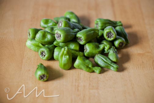 padronpeppers-web-1