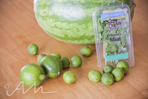 watermelonmojito-web-1