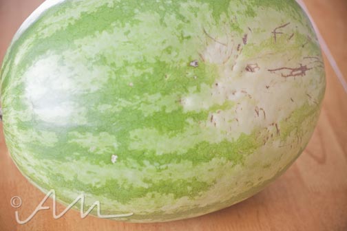 watermelonmojito-web-2