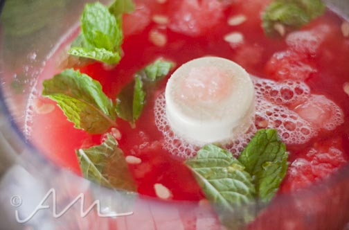 watermelonmojito-web-6