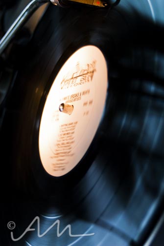 Audrey Michelle Photography