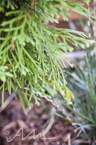 francistakesabath-web-13