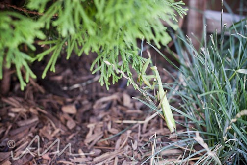 francistakesabath-web-3