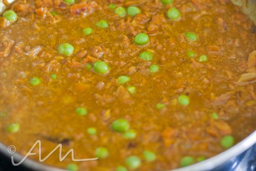 openfacepitas-web-11