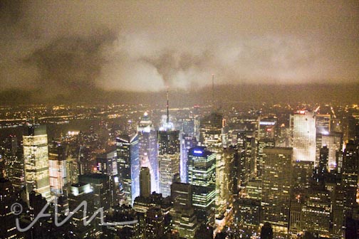 Empire State Building with the Sauer boys