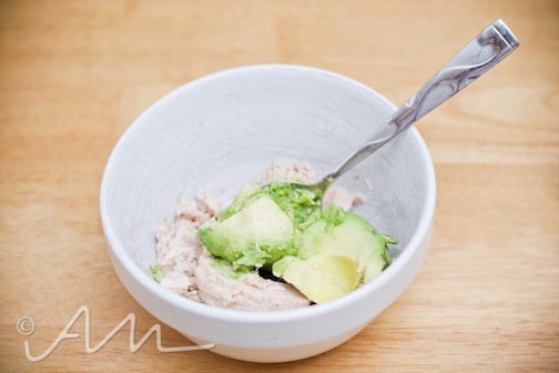 tunaavocadosammy-web-2