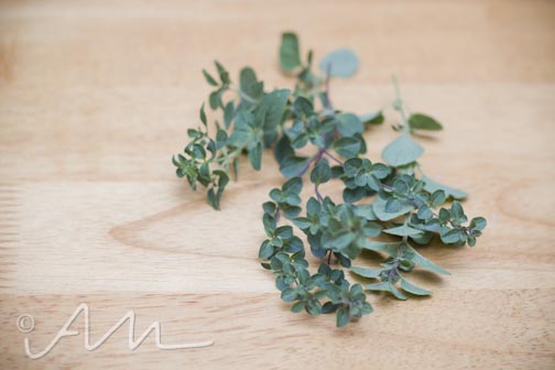 pastaprimavera-web-12