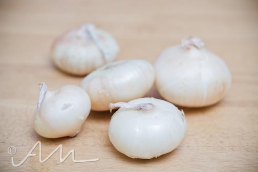 pastaprimavera-web-2