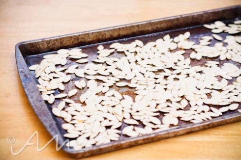pumpkinseeds-7