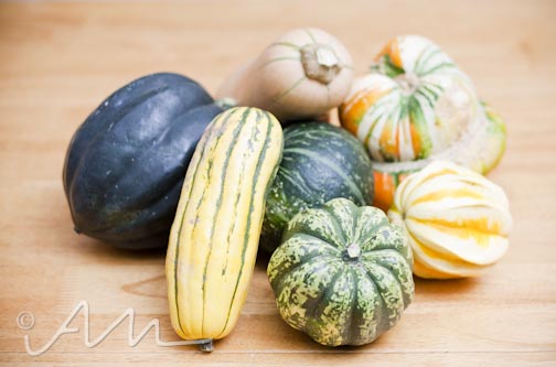 sevensquashes-web-2