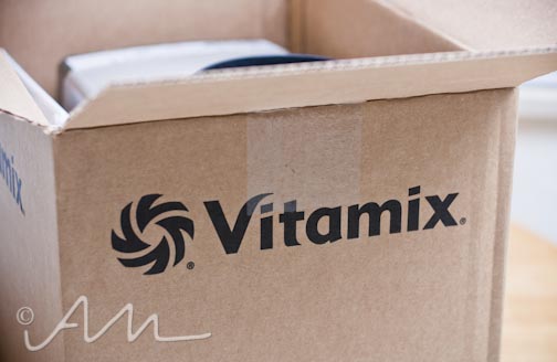 vitamix-web