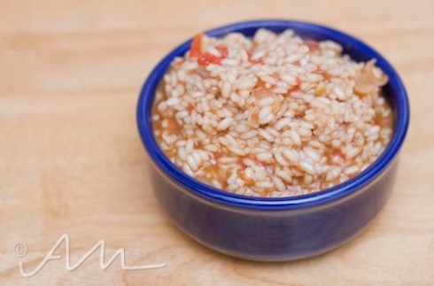 caramelizedonionandtomatorisotto-web-16