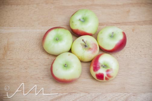 chocostachiodippedladyapples-web-3