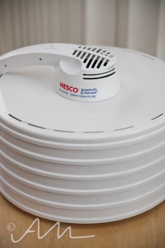 dehydratedapplesmangos-1