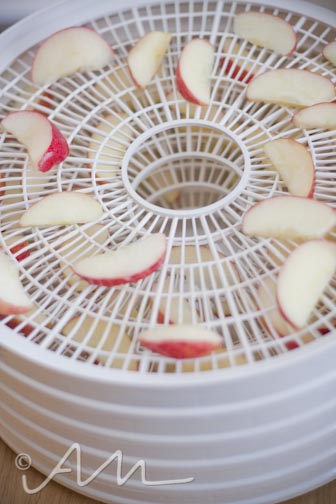 dehydratedapplesmangos-12