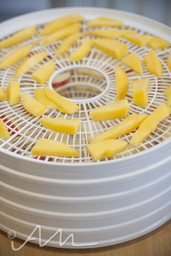 dehydratedapplesmangos-14