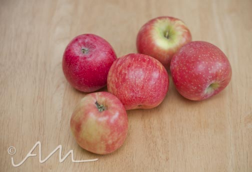 dehydratedapplesmangos-4