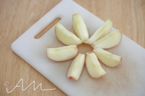 dehydratedapplesmangos-9