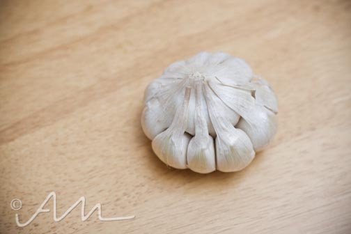 garlic-web-1
