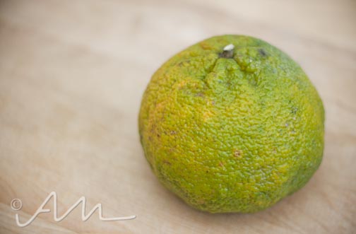 uglifruit-1