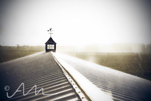 Matt and Emily's Wedding