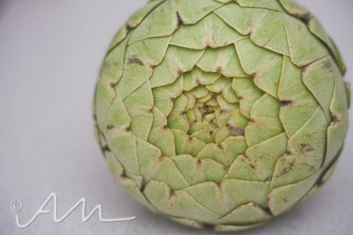 artichokes-2