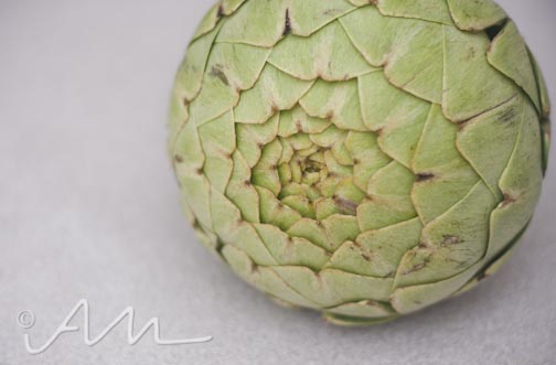 artichokes-4