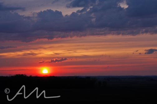 Audrey Michelle Photography