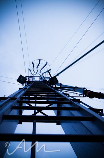 Audrey Michelle Photography