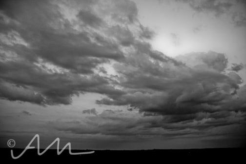 Audrey Michelle Photography