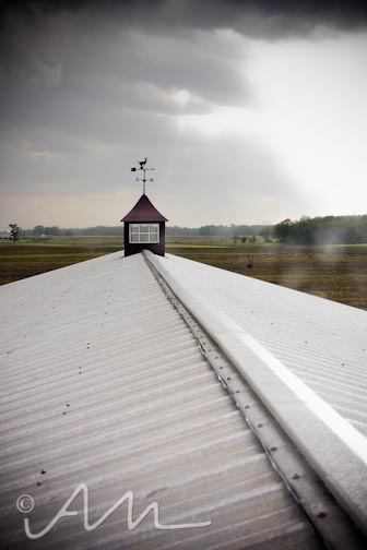 Matt and Emily's Wedding