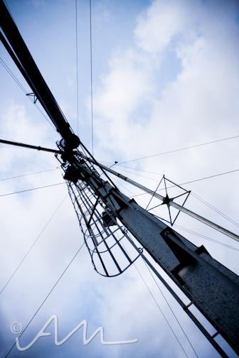 Audrey Michelle Photography