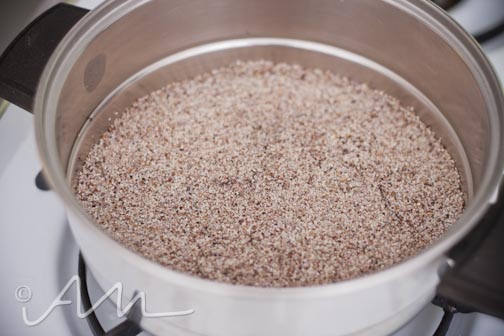 kaniwaendivescoops-2