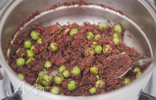 kaniwaendivescoops-8