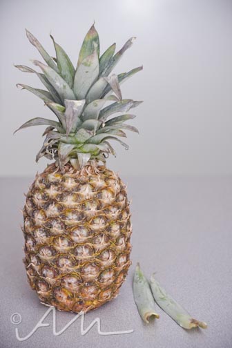 pineapple-1
