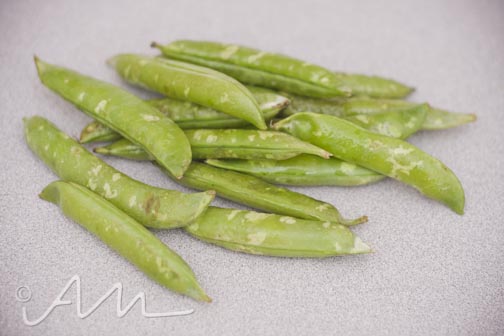 sanmarzanoenglishpea-3