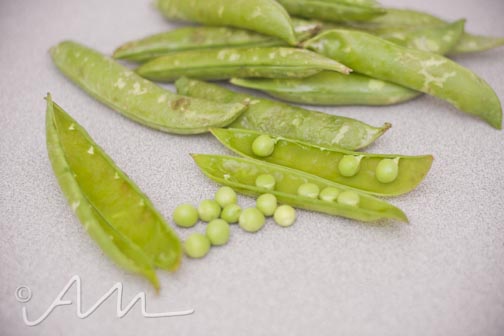 sanmarzanoenglishpea-4