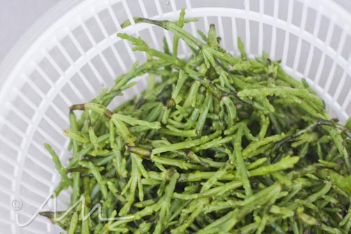 seabeans-2