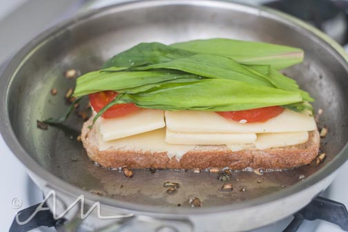 grilledrampcheesesammy-10