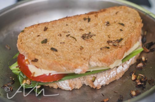 grilledrampcheesesammy-11