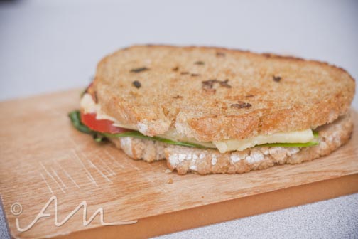 grilledrampcheesesammy-15